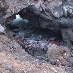 dsc00186.jpg