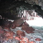 dsc00187.jpg