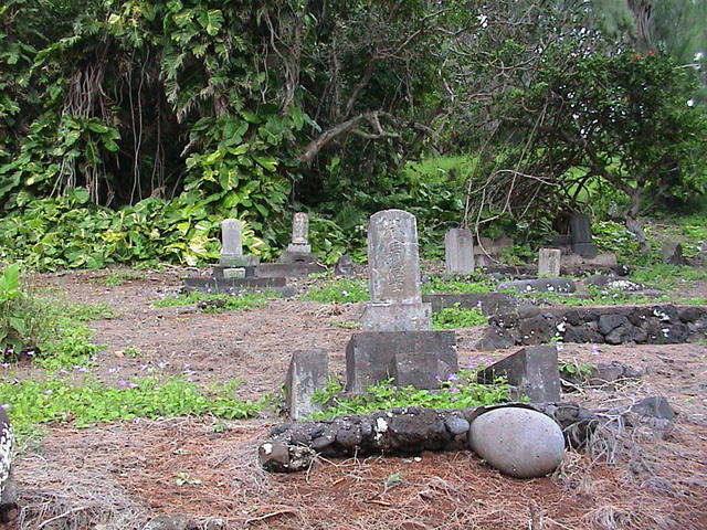 dsc00190.jpg