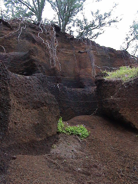 dsc00191.jpg