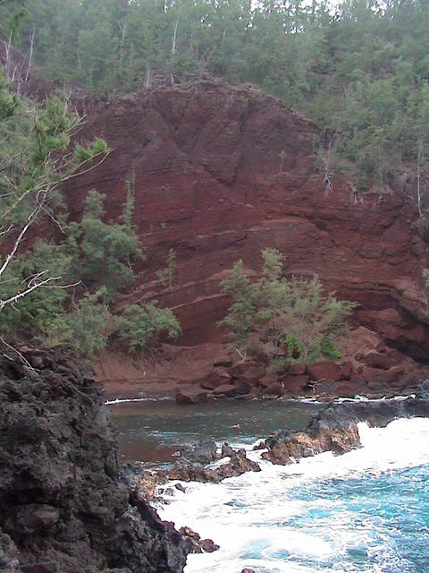 dsc00192.jpg
