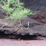 dsc00193.jpg
