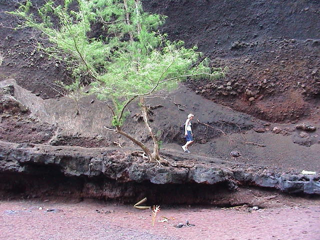 dsc00193.jpg