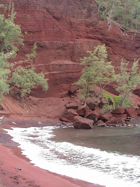 dsc00194.jpg