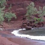 dsc00195.jpg