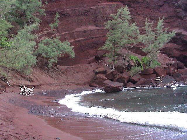 dsc00195.jpg