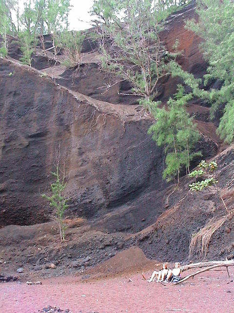 dsc00196.jpg