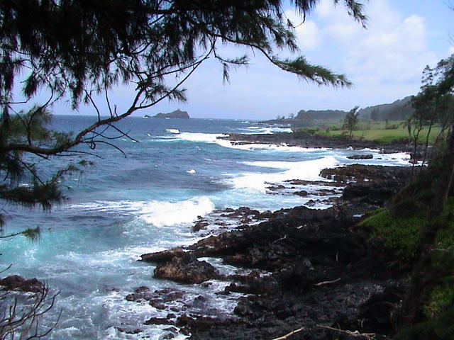 dsc00198.jpg