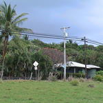 dsc00200.jpg