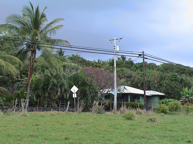 dsc00200.jpg