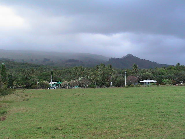 dsc00201.jpg