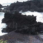dsc00205.jpg