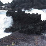 dsc00206.jpg