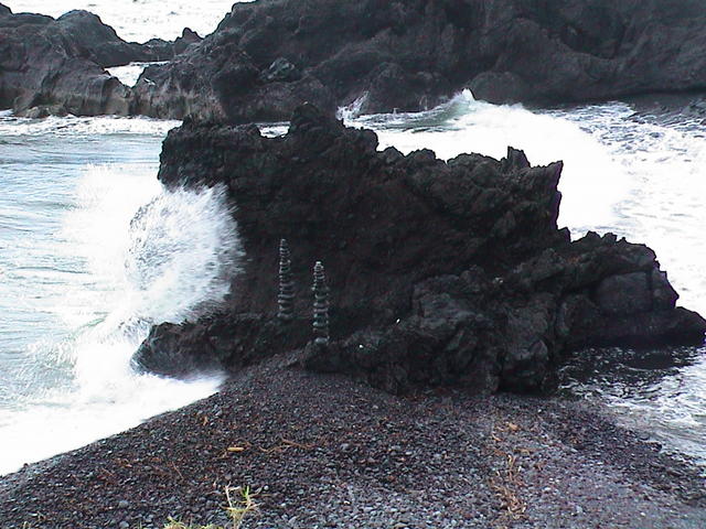 dsc00206.jpg