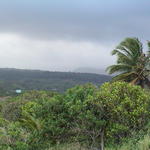 dsc00207.jpg