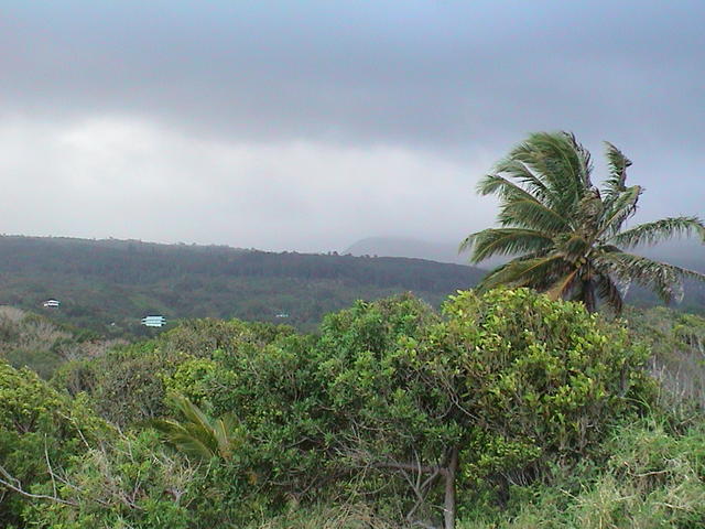 dsc00207.jpg