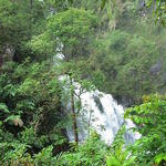 dsc00213.jpg