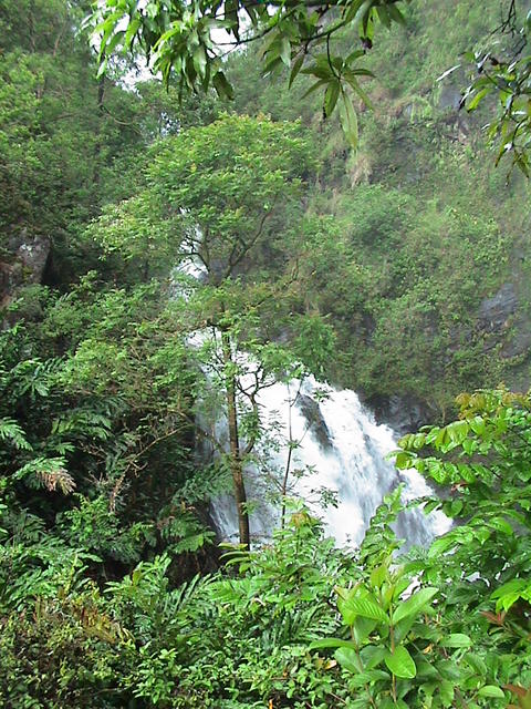 dsc00213.jpg