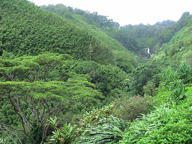 dsc00214.jpg
