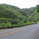 dsc00215.jpg