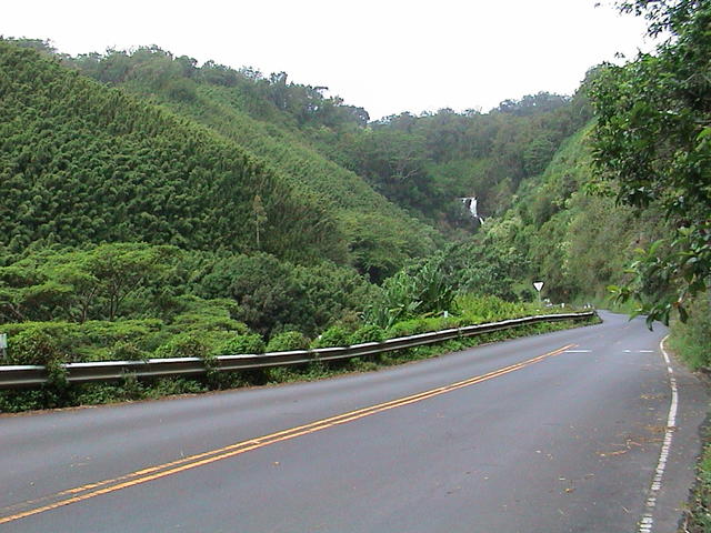 dsc00215.jpg