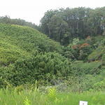 dsc00216.jpg
