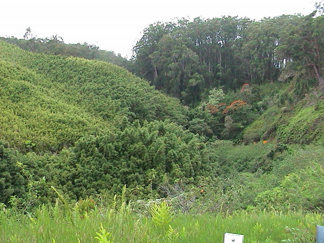 dsc00216.jpg