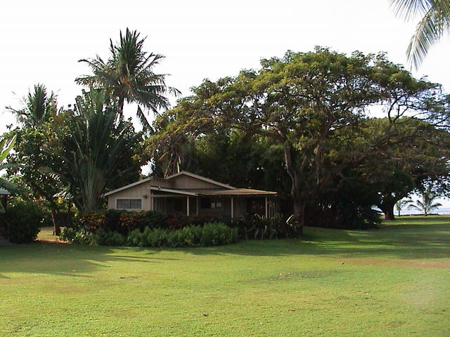 dsc00221.jpg