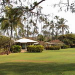 dsc00222.jpg