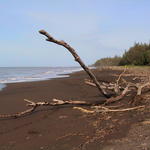 dsc00224.jpg