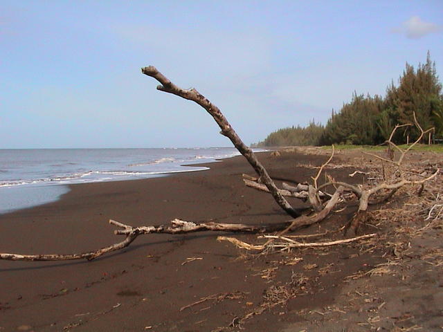 dsc00224.jpg