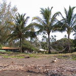 dsc00225.jpg