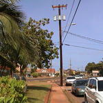 dsc00227.jpg