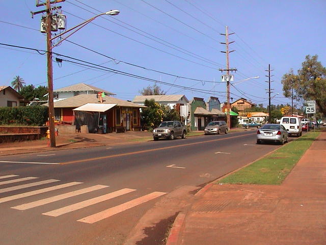 dsc00229.jpg