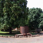 dsc00231.jpg