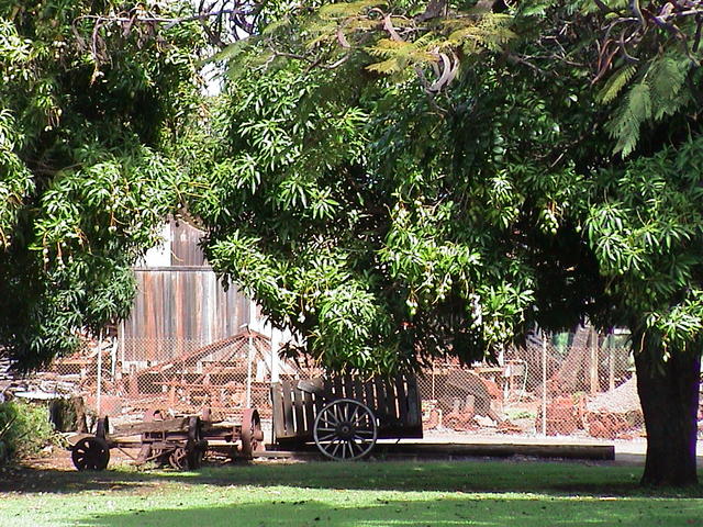 dsc00001.jpg