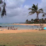 dsc00003.jpg
