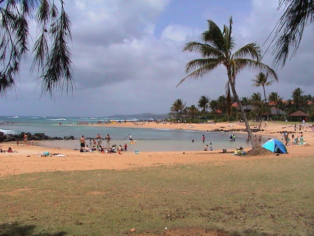 dsc00003.jpg