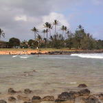 dsc00005.jpg