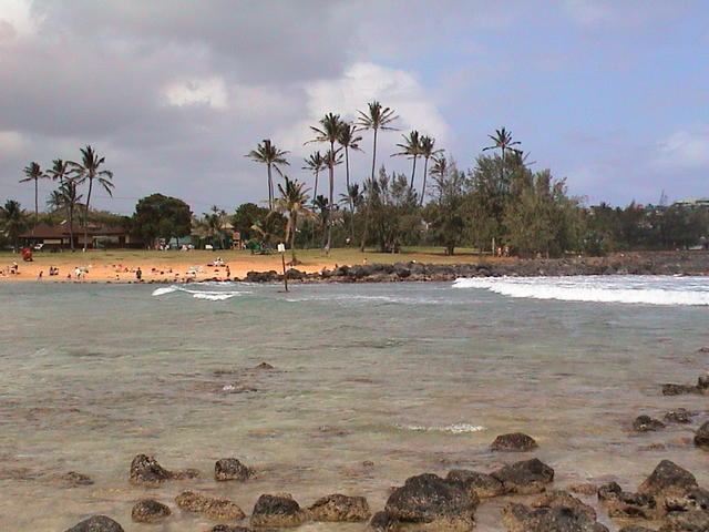 dsc00005.jpg