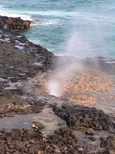 dsc00006.jpg