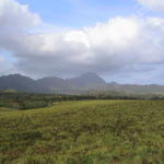 dsc00007.jpg