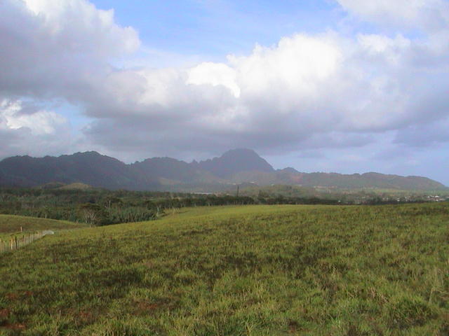 dsc00007.jpg