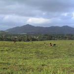 dsc00008.jpg