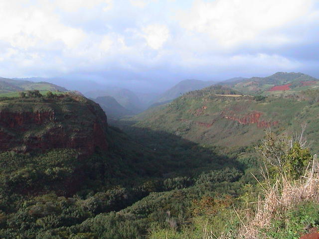 dsc00009.jpg