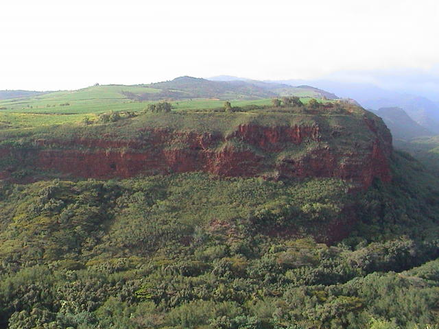 dsc00010.jpg