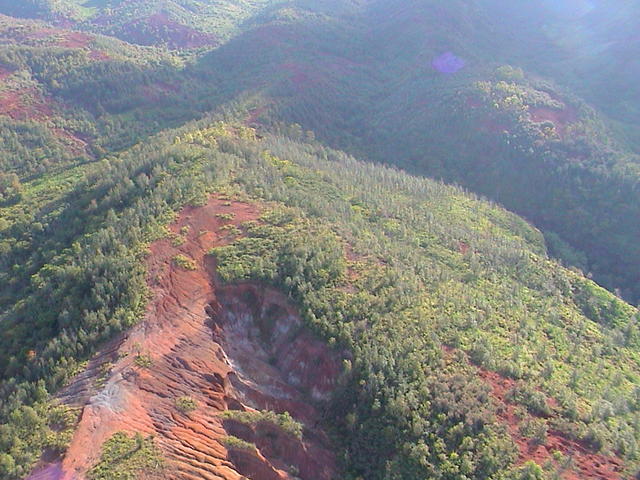 dsc00011.jpg