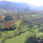dsc00012.jpg