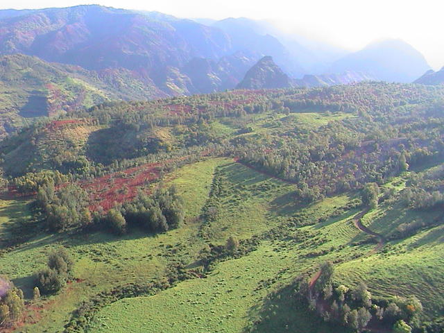 dsc00012.jpg
