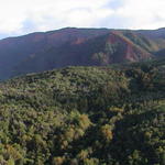 dsc00013.jpg